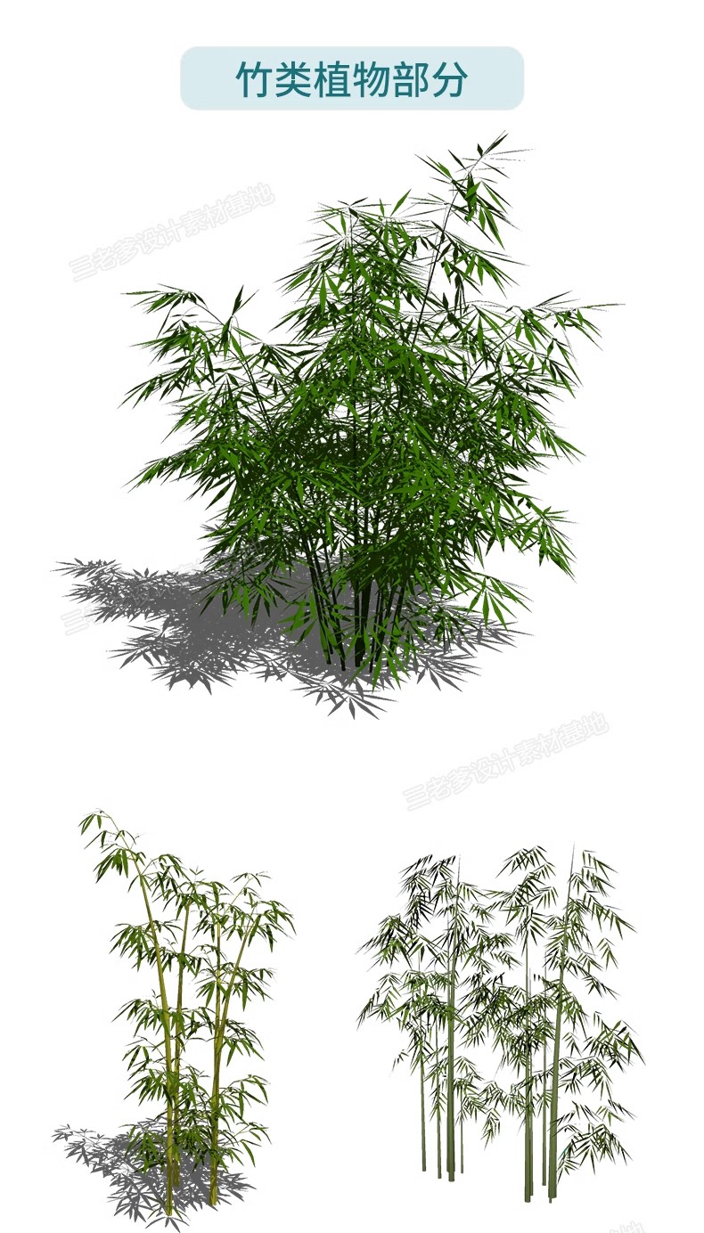 图片[33]-园林景观庭院植物三维真实花草树木乔木花卉灌木草图大师SU模型库-大怪兽分享