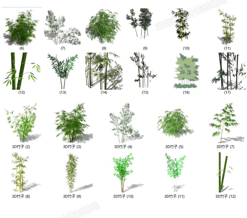 图片[34]-园林景观庭院植物三维真实花草树木乔木花卉灌木草图大师SU模型库-大怪兽分享