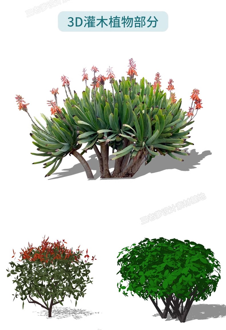 图片[35]-园林景观庭院植物三维真实花草树木乔木花卉灌木草图大师SU模型库-大怪兽分享