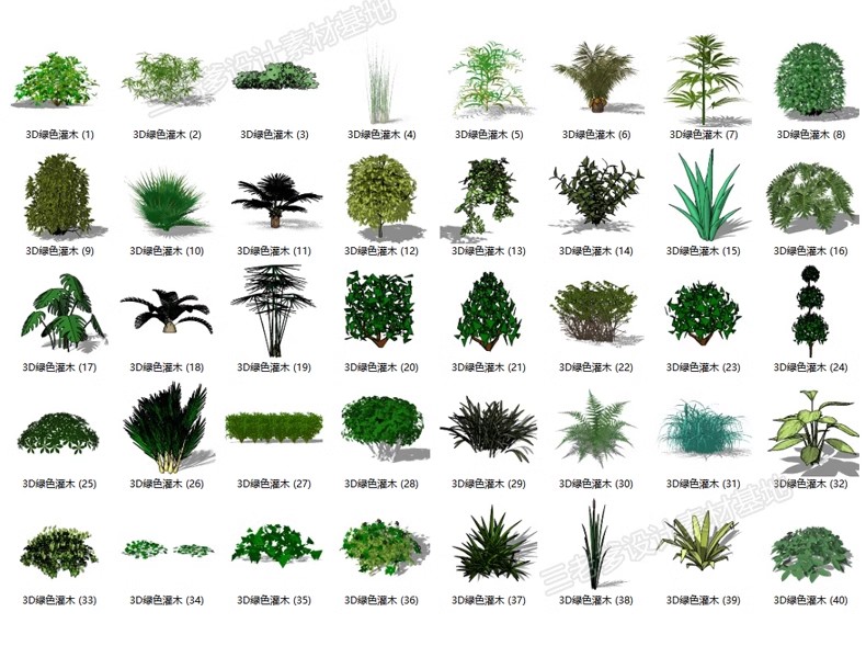 图片[36]-园林景观庭院植物三维真实花草树木乔木花卉灌木草图大师SU模型库-大怪兽分享