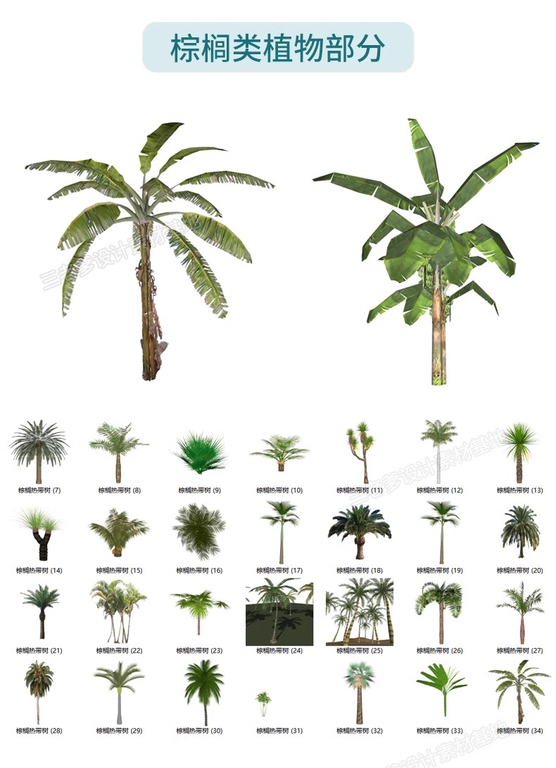 图片[37]-园林景观庭院植物三维真实花草树木乔木花卉灌木草图大师SU模型库-大怪兽分享