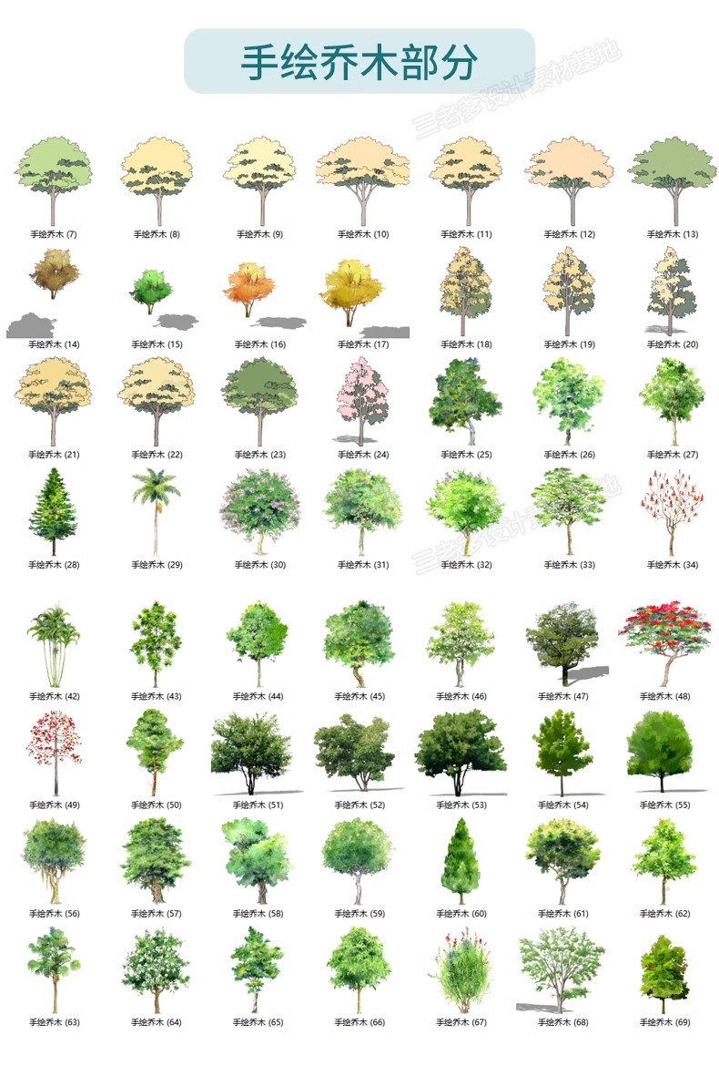 图片[39]-园林景观庭院植物三维真实花草树木乔木花卉灌木草图大师SU模型库-大怪兽分享