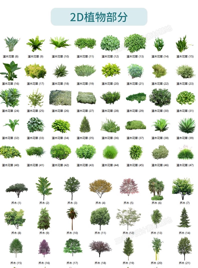 图片[40]-园林景观庭院植物三维真实花草树木乔木花卉灌木草图大师SU模型库-大怪兽分享