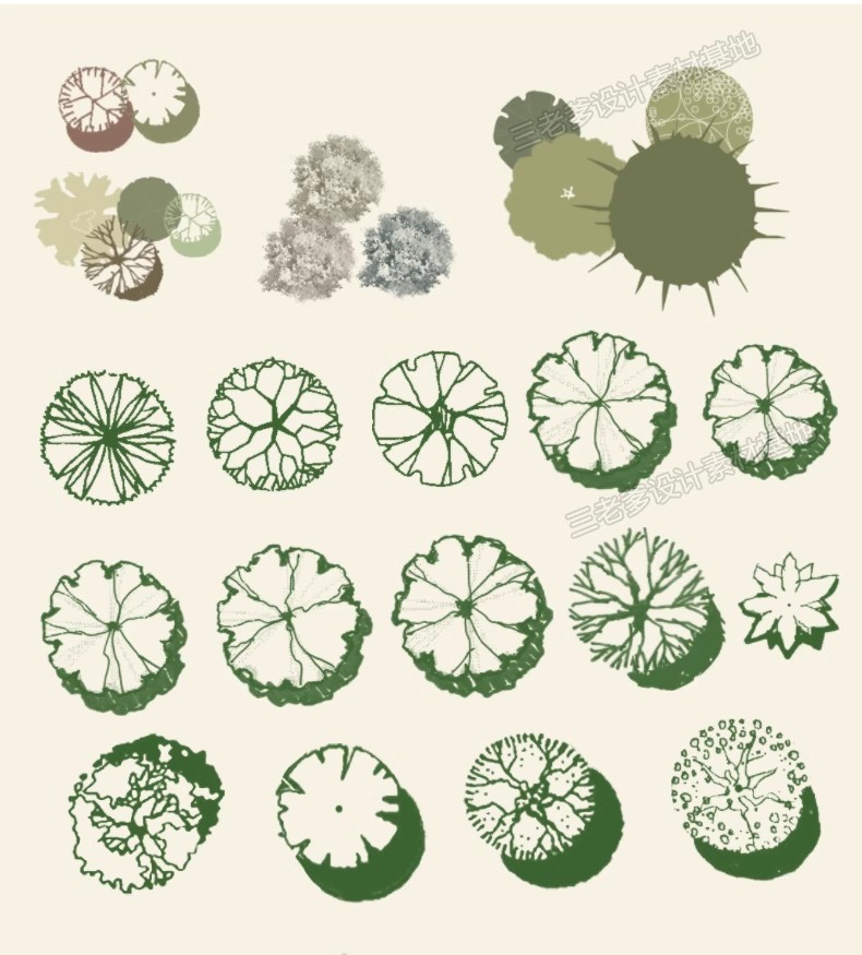 图片[11]-平面树植物ps笔刷小清新水彩树乔木灌木总平面图灰色彩平植物笔刷-大怪兽分享