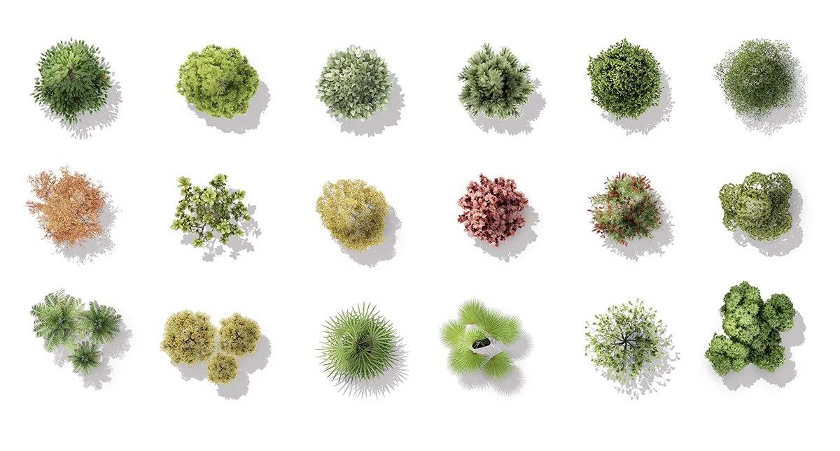 图片[9]-古风植物彩平园林景观复古小清新平面立面树木psd分层免抠PS素材-大怪兽分享