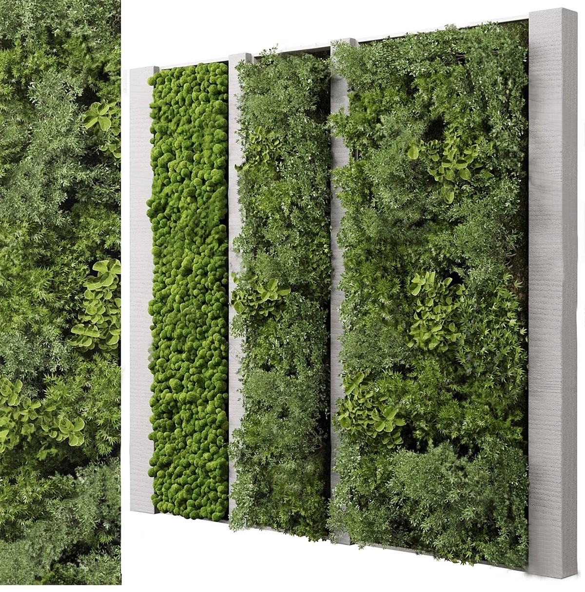 图片[17]-室内植物绿植墙花架垂直绿化绿墙办公室酒店咖啡厅su模型sketchup-大怪兽分享