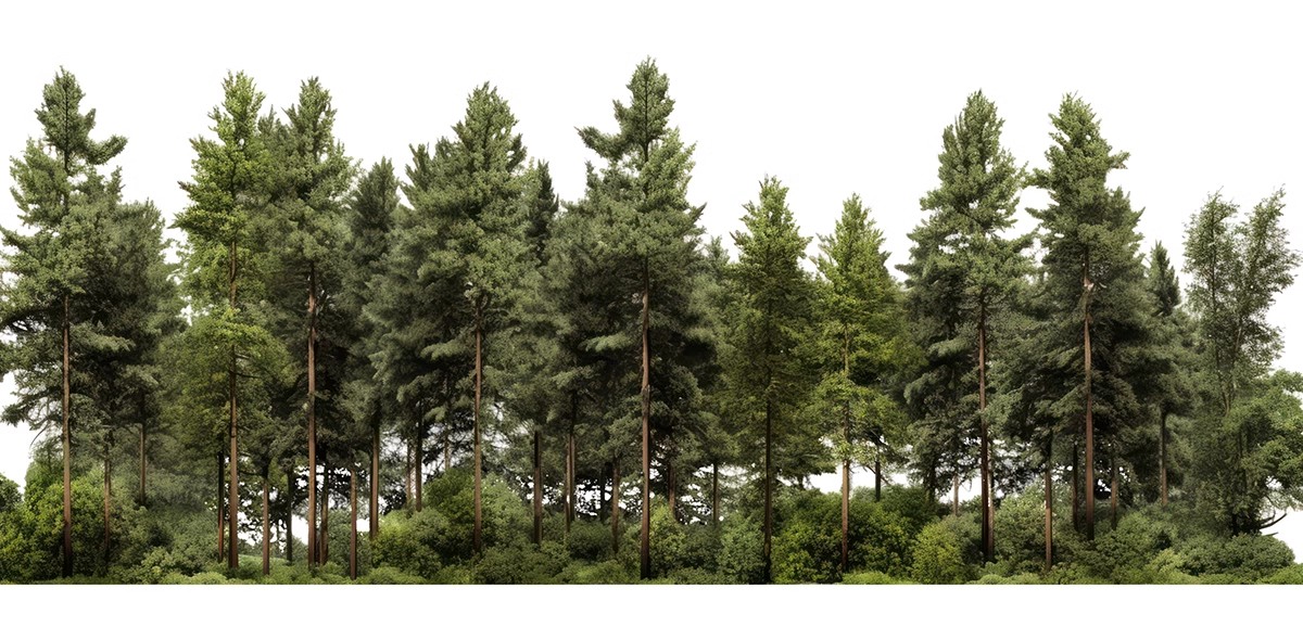 图片[11]-远景山背景植物树木ps素材 树林丛林配景树园林景观效果图psd免抠-大怪兽分享