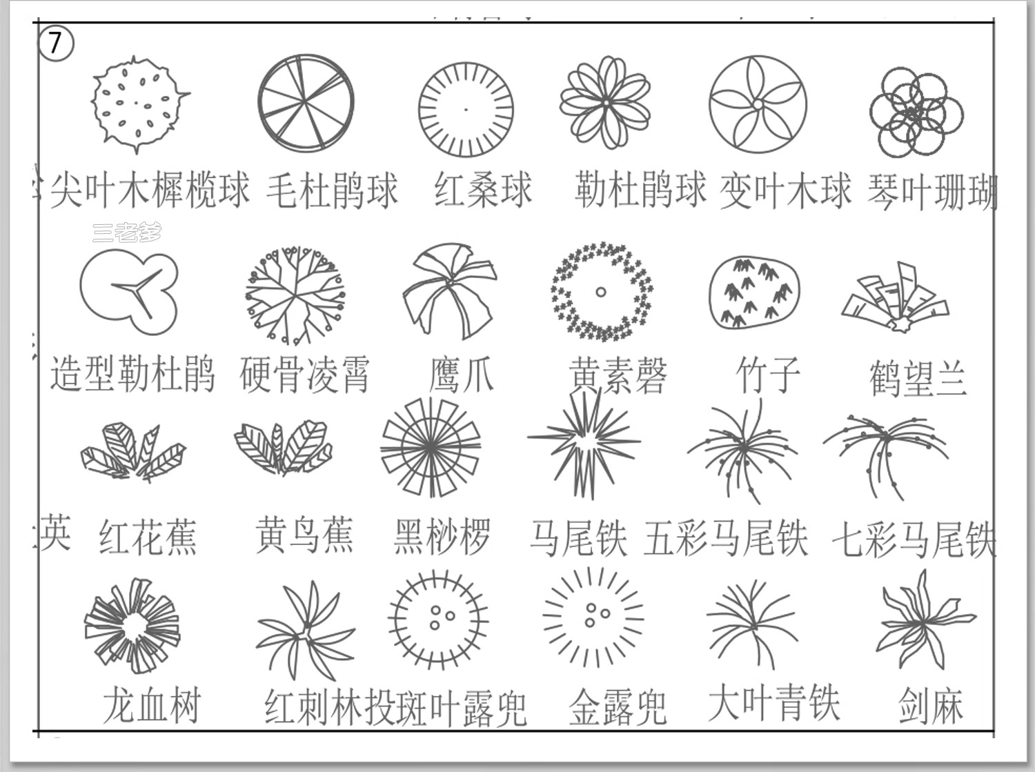 图片[11]-园林景观树木植物CAD施工图库 乔木绿草花灌木植物平面铺装素材块-大怪兽分享