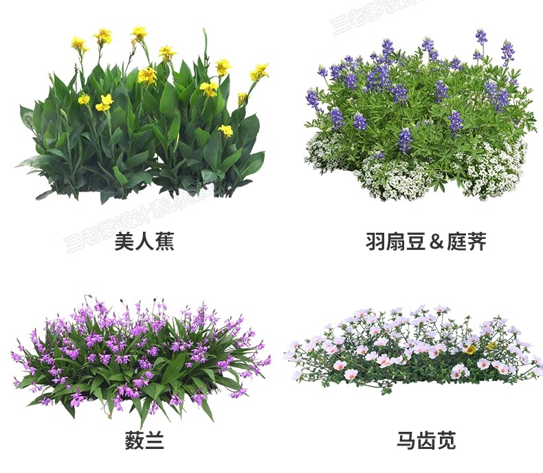 图片[11]-花卉植物procreate花镜 鲜花坛PS效果图PNG免抠高清带名称psd素材-大怪兽分享