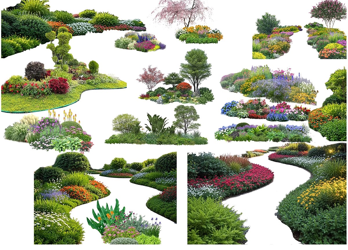 图片[10]-花坛树池ps素材库景观花镜花草植物乔灌木造型组团psd免抠效果图-大怪兽分享