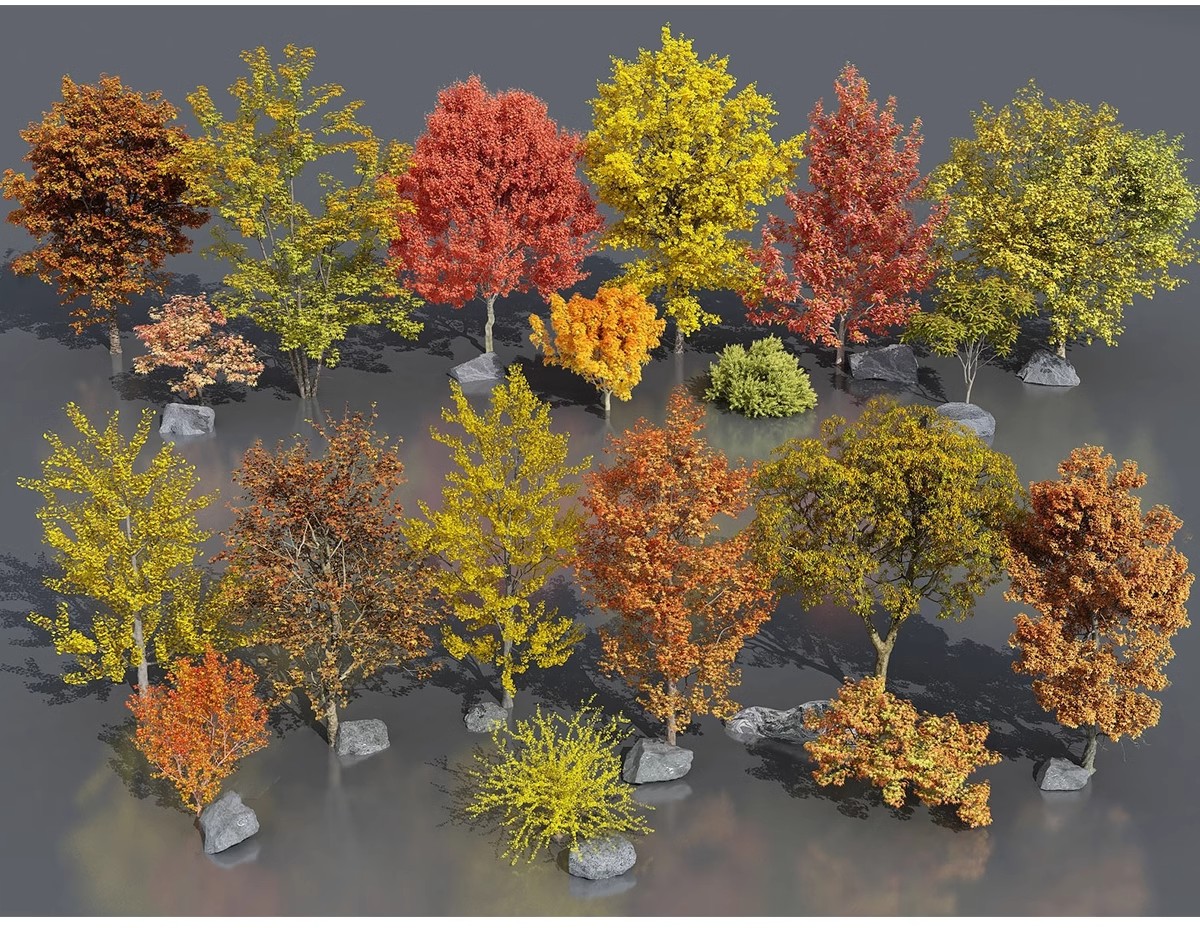 图片[11]-SU草图大师模型园林建筑室外景观树木乔木三维植物sketchup素材库-大怪兽分享
