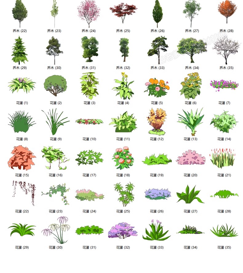 图片[41]-园林景观庭院植物三维真实花草树木乔木花卉灌木草图大师SU模型库-大怪兽分享