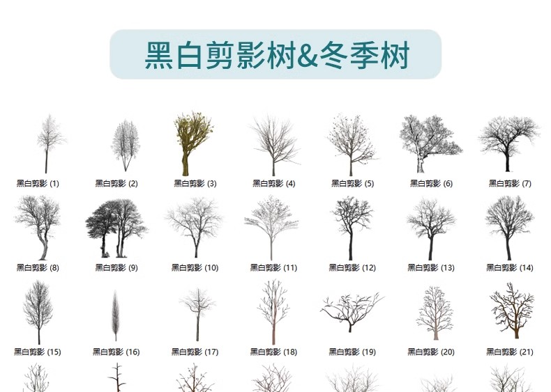 图片[42]-园林景观庭院植物三维真实花草树木乔木花卉灌木草图大师SU模型库-大怪兽分享