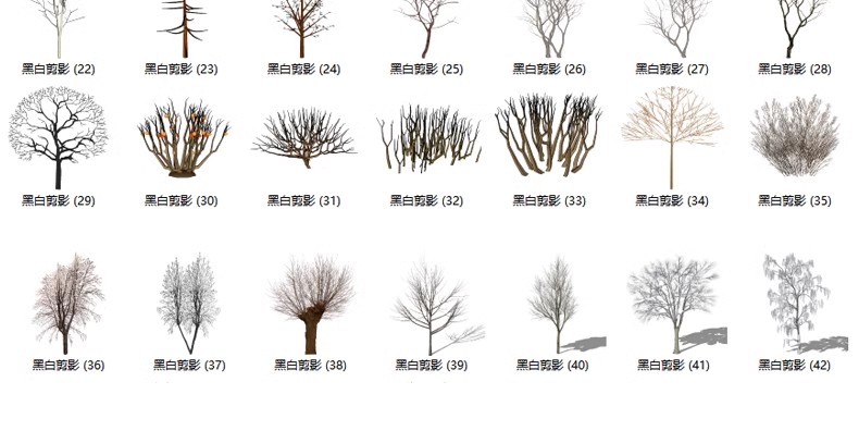 图片[43]-园林景观庭院植物三维真实花草树木乔木花卉灌木草图大师SU模型库-大怪兽分享