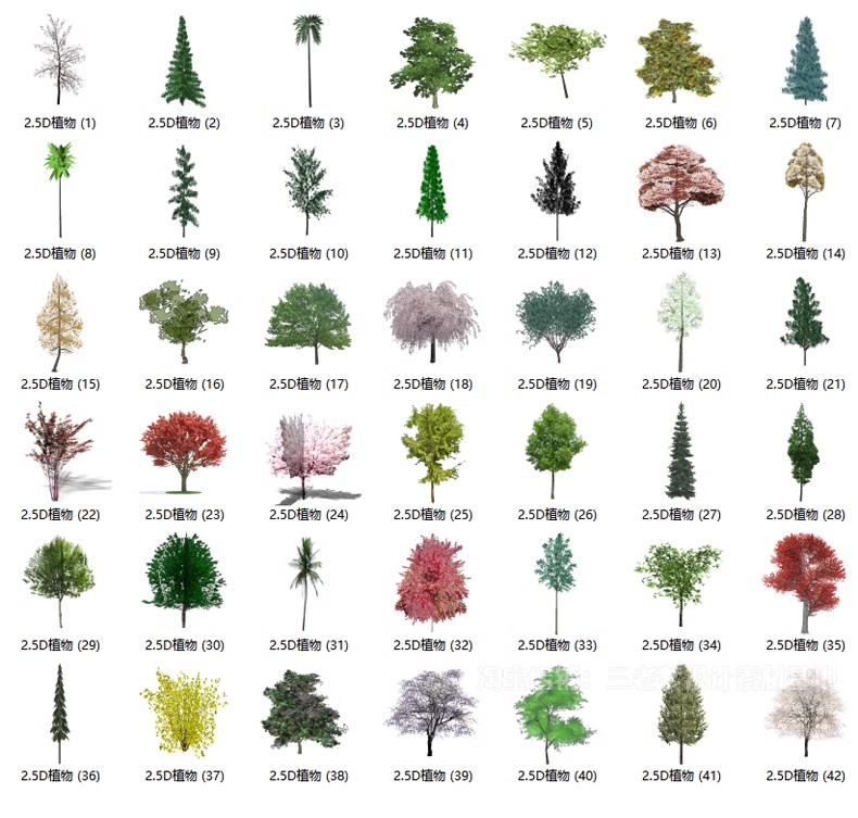 图片[44]-园林景观庭院植物三维真实花草树木乔木花卉灌木草图大师SU模型库-大怪兽分享