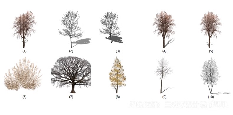 图片[45]-园林景观庭院植物三维真实花草树木乔木花卉灌木草图大师SU模型库-大怪兽分享
