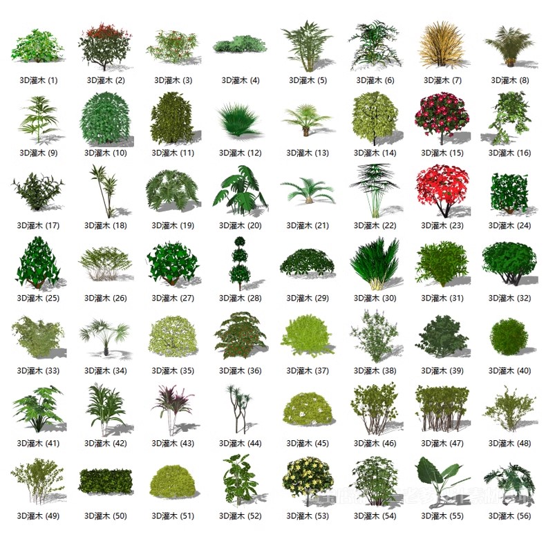 图片[46]-园林景观庭院植物三维真实花草树木乔木花卉灌木草图大师SU模型库-大怪兽分享