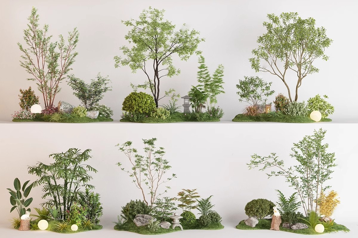 图片[10]-园林景观庭院植物三维真实花草树木乔木花卉灌木草图大师SU模型库-大怪兽分享