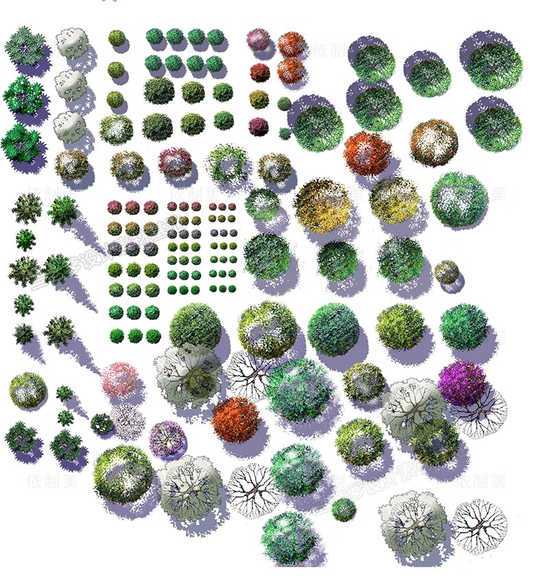 图片[12]-PS园林景观彩色平面图植物树分层草皮花卉纹理配色PSD彩平图素材-大怪兽分享