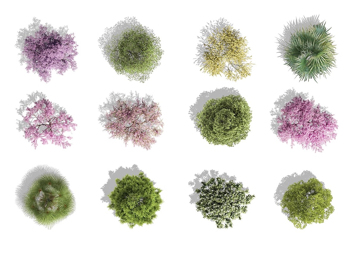 图片[10]-古风植物彩平园林景观复古小清新平面立面树木psd分层免抠PS素材-大怪兽分享