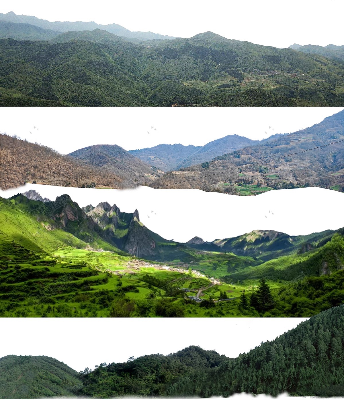 图片[12]-远景山背景植物树木ps素材 树林丛林配景树园林景观效果图psd免抠-大怪兽分享