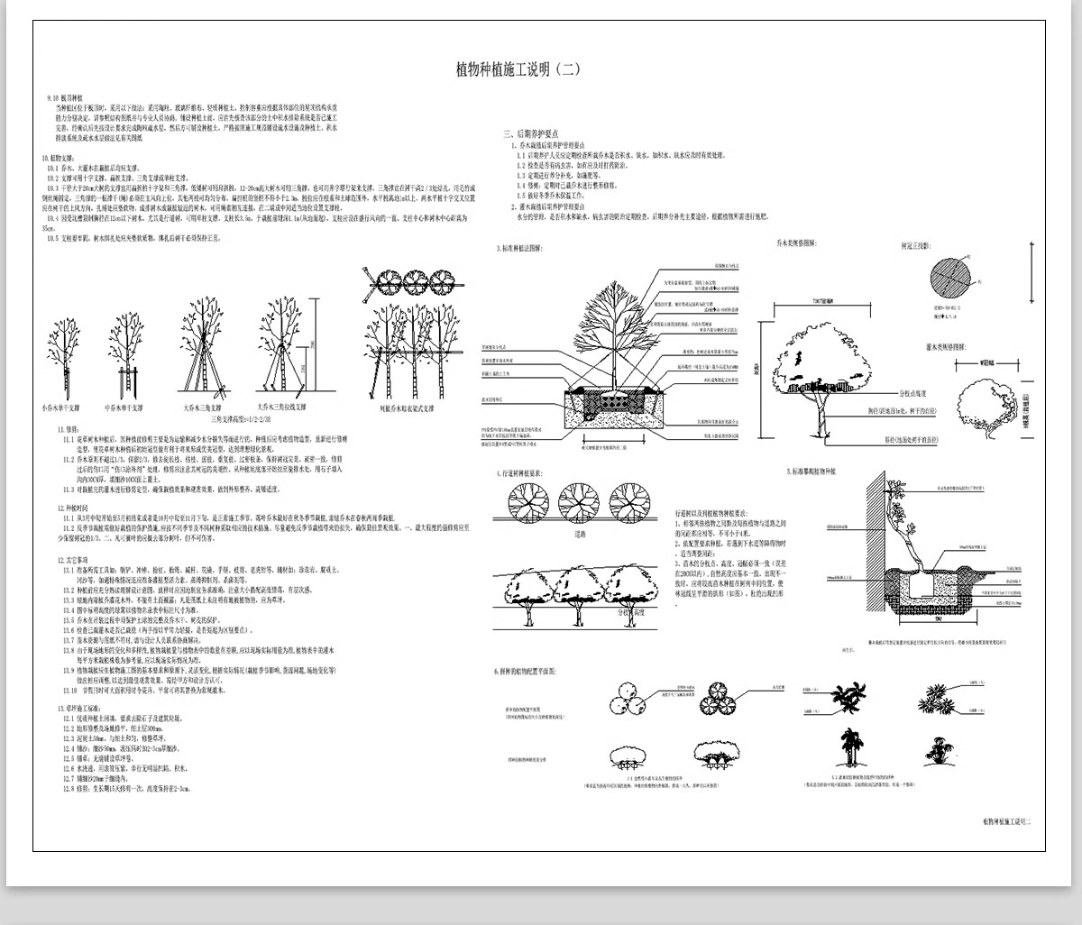 图片[12]-绿化植物种植CAD施工图 园林景观施工大样图详图设计说明图库素材-大怪兽分享