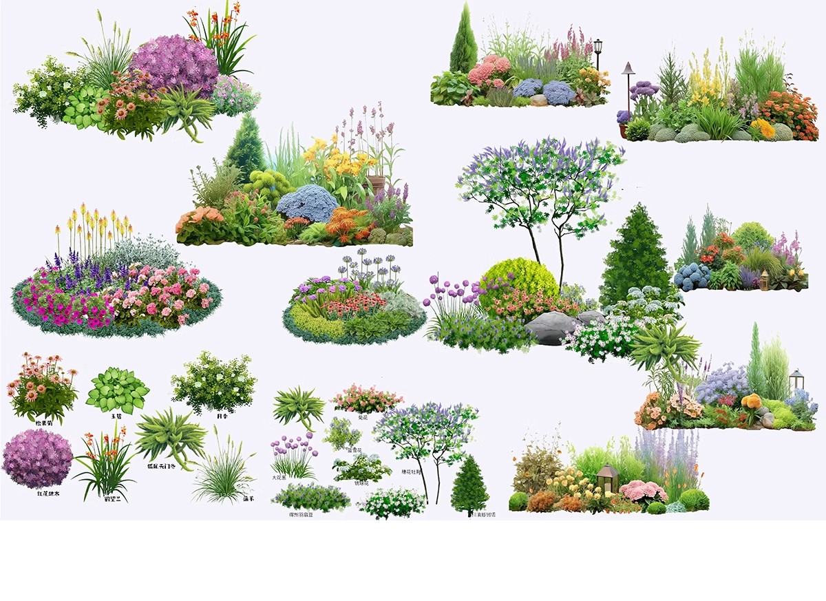 图片[11]-花坛树池ps素材库景观花镜花草植物乔灌木造型组团psd免抠效果图-大怪兽分享