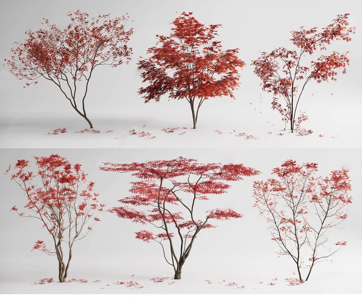 图片[12]-SU草图大师模型园林建筑室外景观树木乔木三维植物sketchup素材库-大怪兽分享
