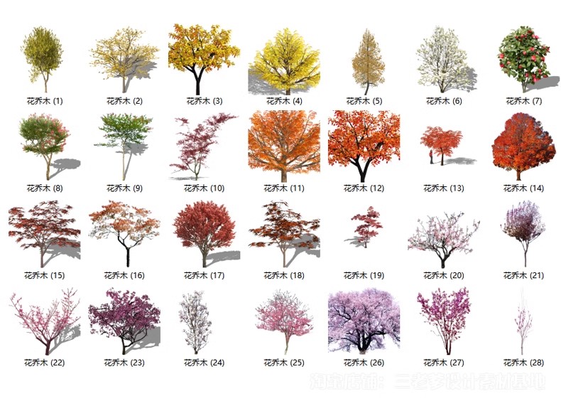 图片[47]-园林景观庭院植物三维真实花草树木乔木花卉灌木草图大师SU模型库-大怪兽分享