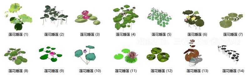 图片[48]-园林景观庭院植物三维真实花草树木乔木花卉灌木草图大师SU模型库-大怪兽分享