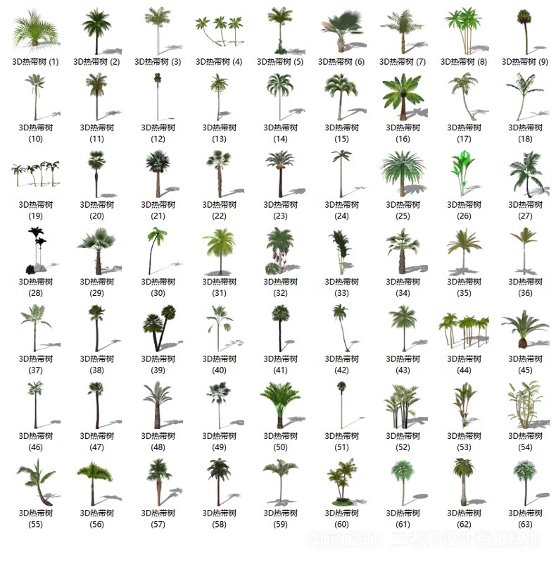 图片[51]-园林景观庭院植物三维真实花草树木乔木花卉灌木草图大师SU模型库-大怪兽分享