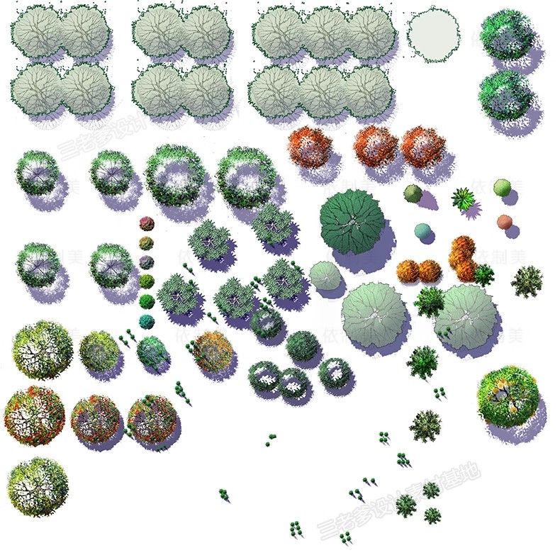 图片[13]-PS园林景观彩色平面图植物树分层草皮花卉纹理配色PSD彩平图素材-大怪兽分享