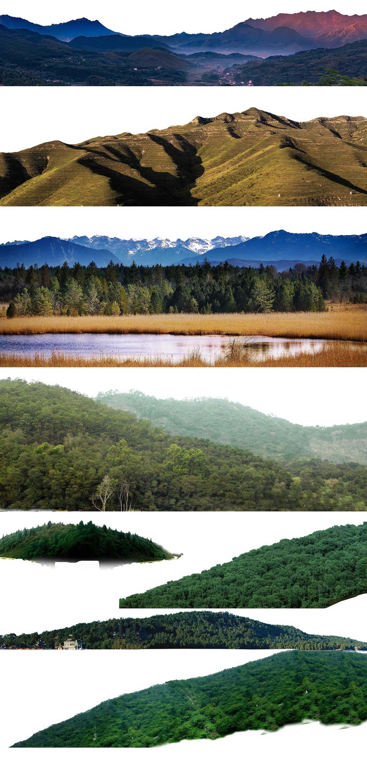 图片[13]-远景山背景植物树木ps素材 树林丛林配景树园林景观效果图psd免抠-大怪兽分享