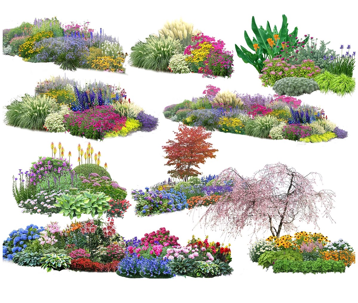 图片[13]-PS花镜花境灌木花丛组团设计组合花卉植物配置效果图psd免扣素材-大怪兽分享