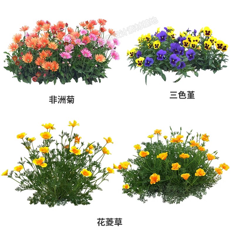 图片[13]-花卉植物procreate花镜 鲜花坛PS效果图PNG免抠高清带名称psd素材-大怪兽分享