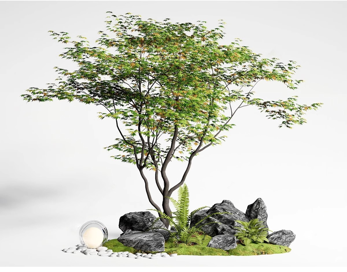 图片[13]-SU草图大师模型园林建筑室外景观树木乔木三维植物sketchup素材库-大怪兽分享