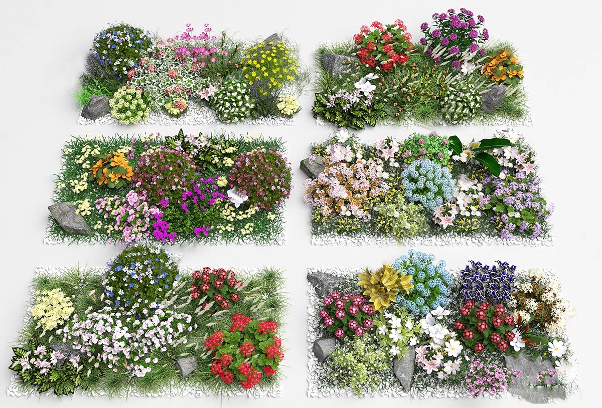 图片[12]-园林景观庭院植物三维真实花草树木乔木花卉灌木草图大师SU模型库-大怪兽分享