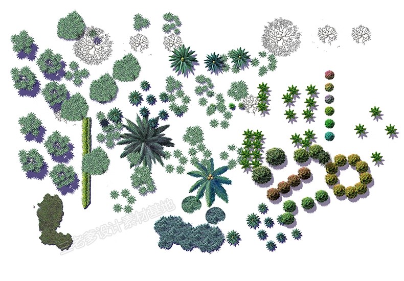 图片[14]-PS园林景观彩色平面图植物树分层草皮花卉纹理配色PSD彩平图素材-大怪兽分享
