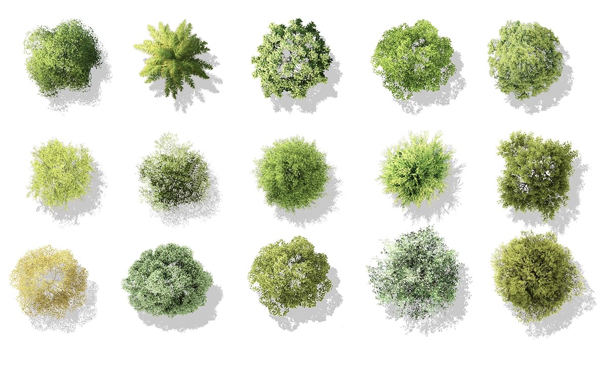 图片[12]-古风植物彩平园林景观复古小清新平面立面树木psd分层免抠PS素材-大怪兽分享