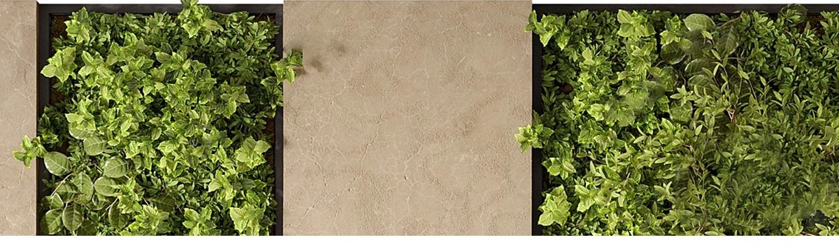 图片[20]-室内植物绿植墙花架垂直绿化绿墙办公室酒店咖啡厅su模型sketchup-大怪兽分享