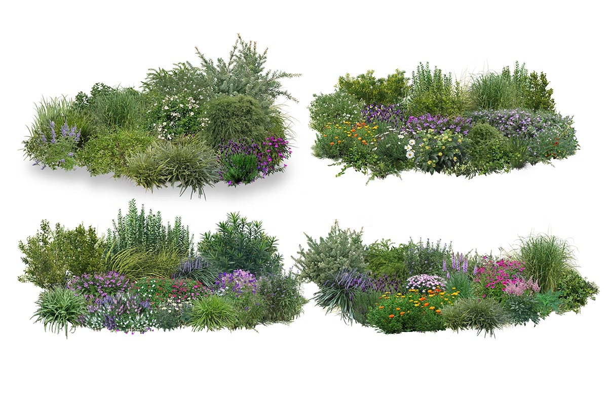 图片[14]-PS花镜花境灌木花丛组团设计组合花卉植物配置效果图psd免扣素材-大怪兽分享