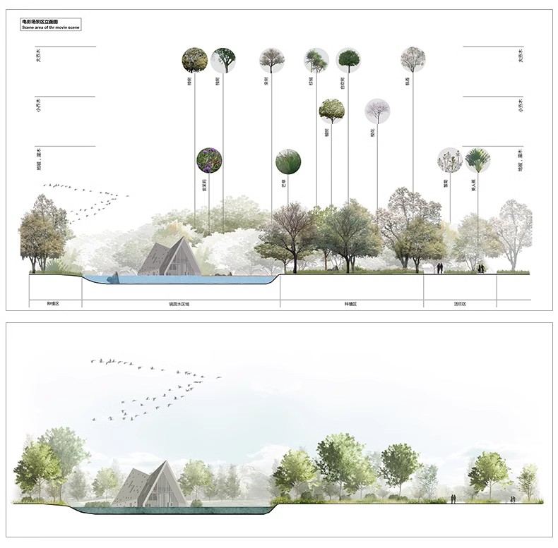 图片[10]-景观园林分析图PSD参考意向区位植物小场景内部剖面分析ps素材库-大怪兽分享