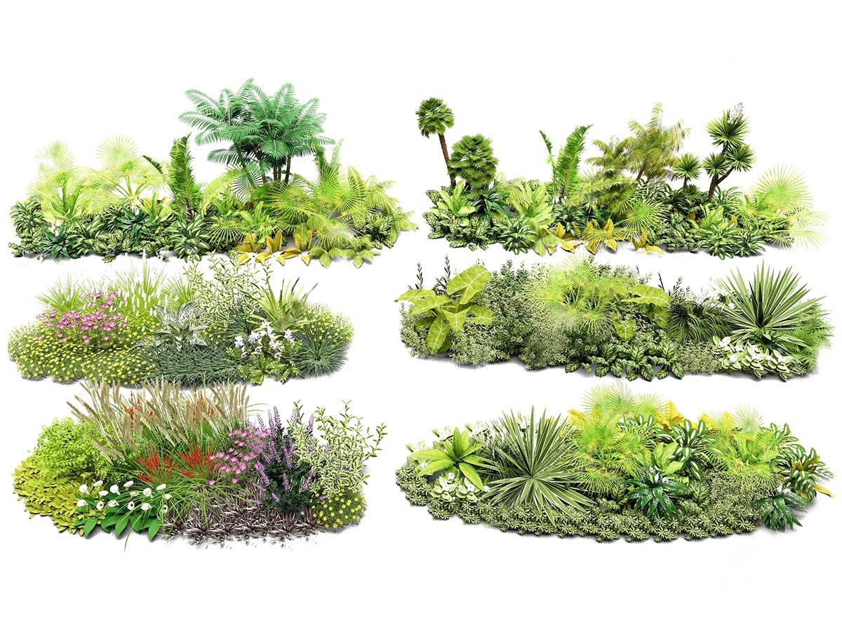 图片[13]-园林景观庭院植物三维真实花草树木乔木花卉灌木草图大师SU模型库-大怪兽分享