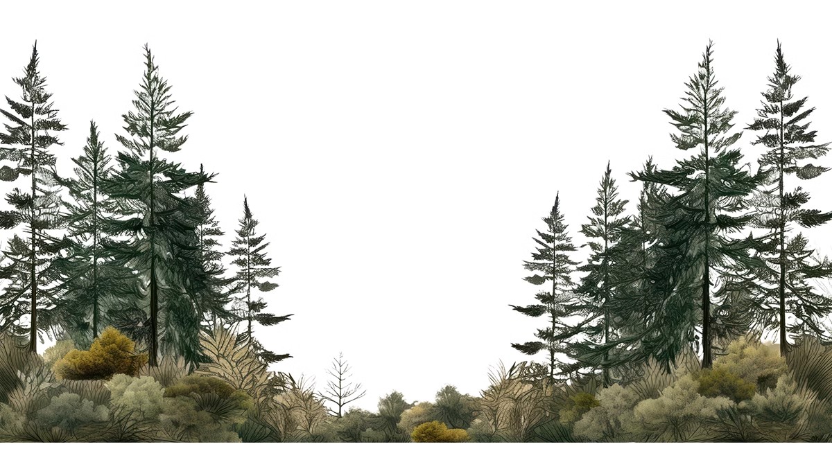 图片[15]-远景山背景植物树木ps素材 树林丛林配景树园林景观效果图psd免抠-大怪兽分享