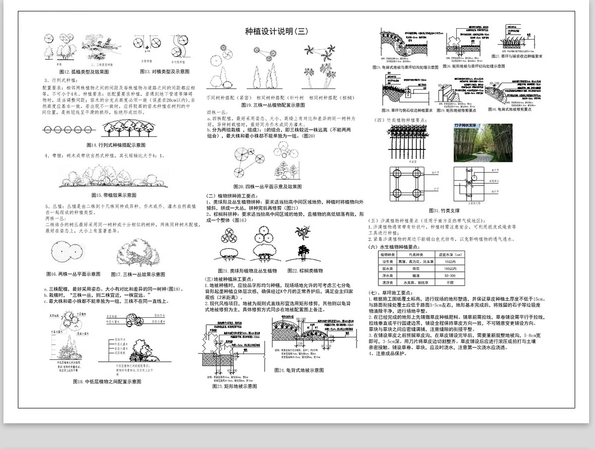 图片[15]-绿化植物种植CAD施工图 园林景观施工大样图详图设计说明图库素材-大怪兽分享