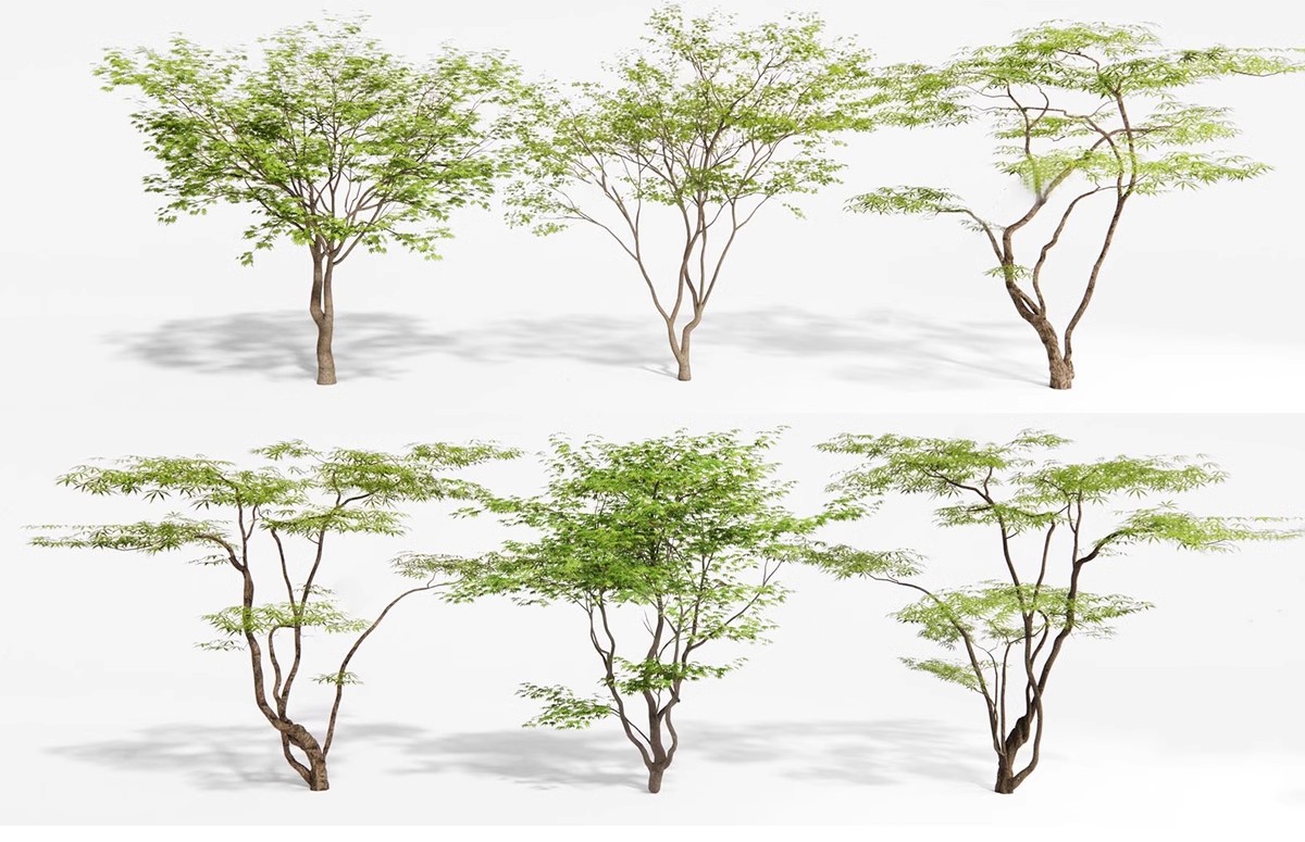 图片[15]-SU草图大师模型园林建筑室外景观树木乔木三维植物sketchup素材库-大怪兽分享