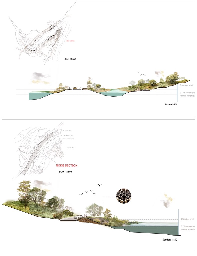 图片[11]-景观园林分析图PSD参考意向区位植物小场景内部剖面分析ps素材库-大怪兽分享