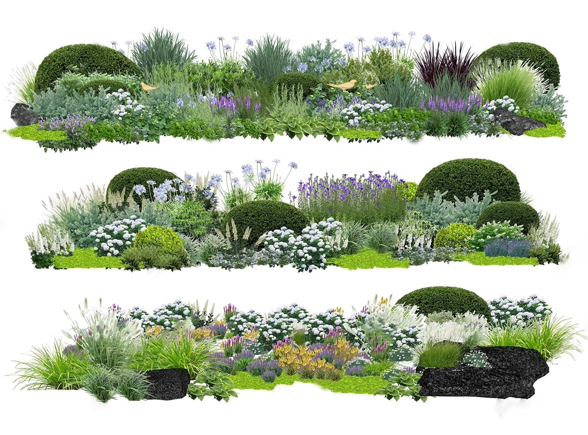 图片[14]-园林景观庭院植物三维真实花草树木乔木花卉灌木草图大师SU模型库-大怪兽分享