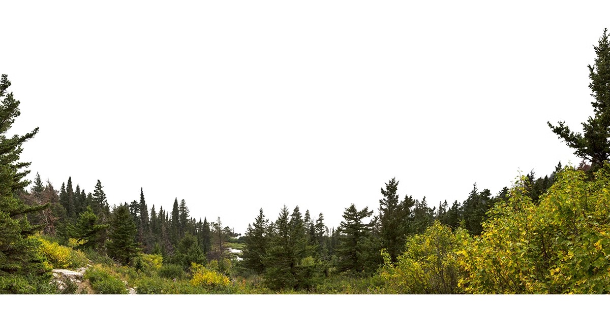 图片[16]-远景山背景植物树木ps素材 树林丛林配景树园林景观效果图psd免抠-大怪兽分享