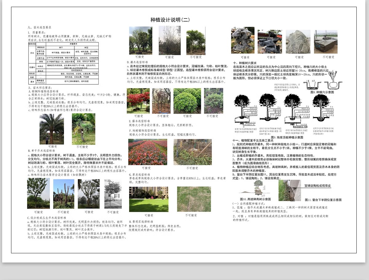图片[16]-绿化植物种植CAD施工图 园林景观施工大样图详图设计说明图库素材-大怪兽分享